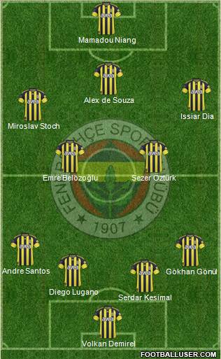 Fenerbahçe SK Formation 2011