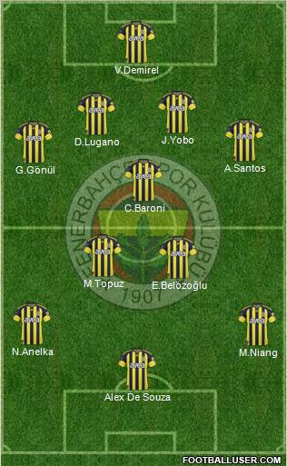 Fenerbahçe SK Formation 2011