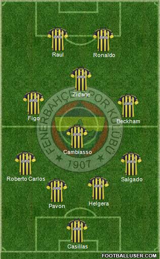 Fenerbahçe SK Formation 2011