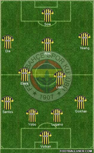 Fenerbahçe SK Formation 2011