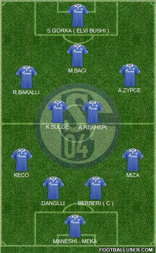 FC Schalke 04 Formation 2011