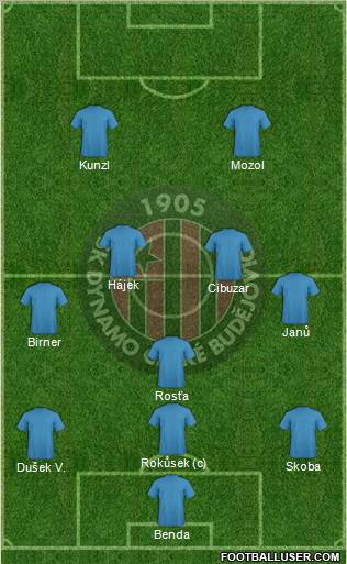 Ceske Budejovice Formation 2011