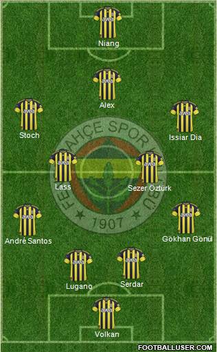 Fenerbahçe SK Formation 2011
