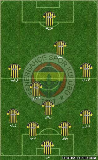 Fenerbahçe SK Formation 2011