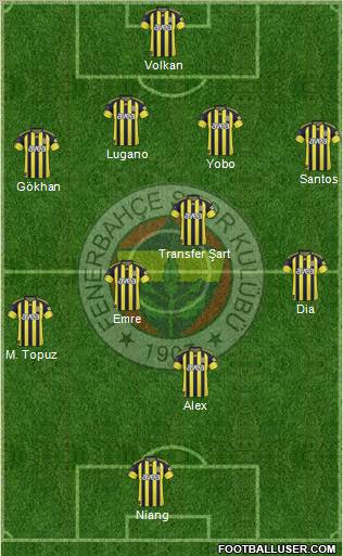 Fenerbahçe SK Formation 2011