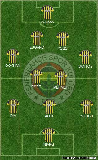 Fenerbahçe SK Formation 2011