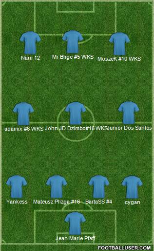 Wierzyca Pelplin Formation 2011