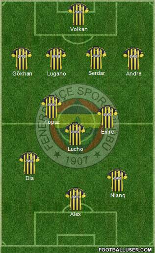 Fenerbahçe SK Formation 2011