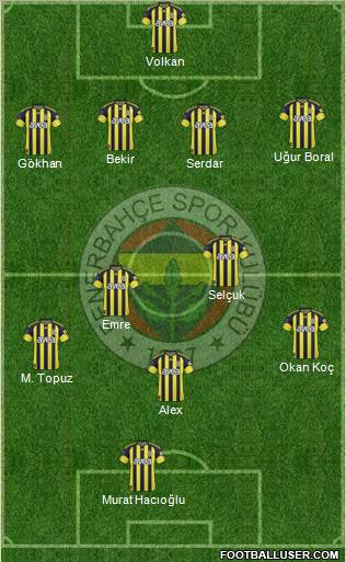 Fenerbahçe SK Formation 2011