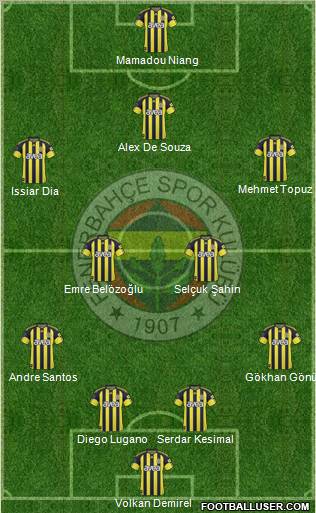 Fenerbahçe SK Formation 2011