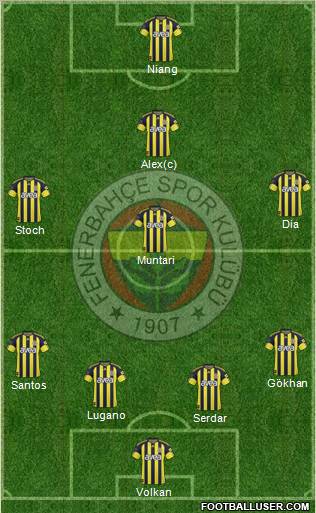 Fenerbahçe SK Formation 2011