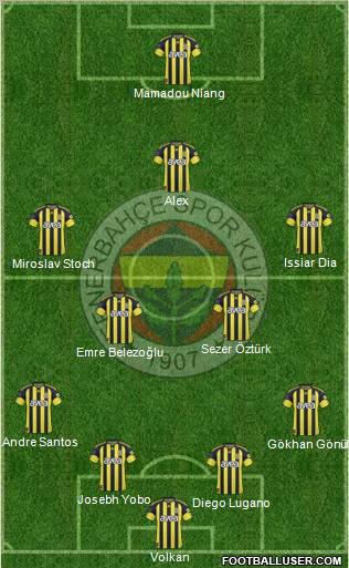 Fenerbahçe SK Formation 2011