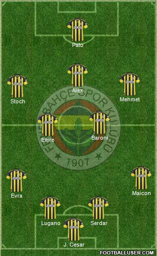 Fenerbahçe SK Formation 2011