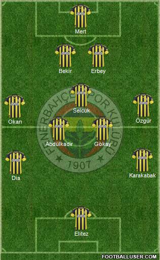 Fenerbahçe SK Formation 2011