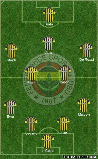 Fenerbahçe SK Formation 2011