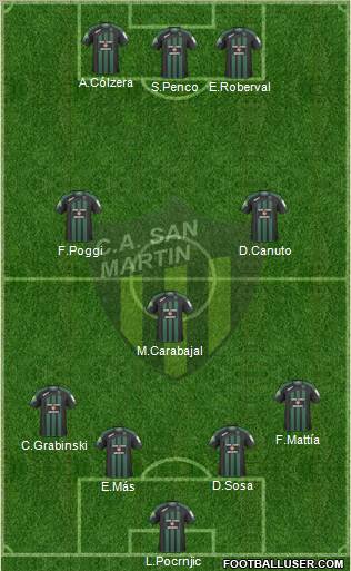 San Martín de San Juan Formation 2011