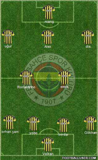 Fenerbahçe SK Formation 2011