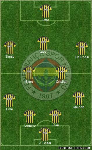 Fenerbahçe SK Formation 2011