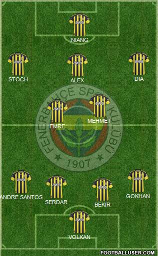 Fenerbahçe SK Formation 2011