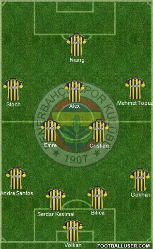 Fenerbahçe SK Formation 2011