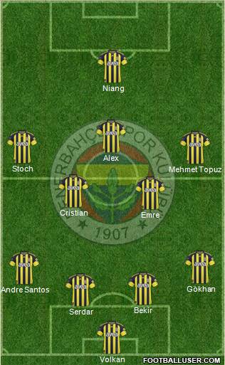 Fenerbahçe SK Formation 2011