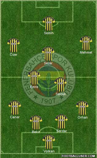 Fenerbahçe SK Formation 2011