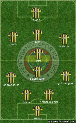 Fenerbahçe SK Formation 2011