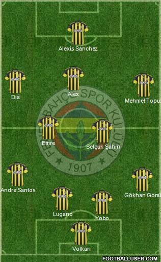 Fenerbahçe SK Formation 2011