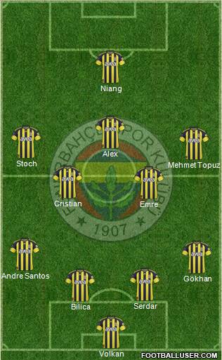 Fenerbahçe SK Formation 2011