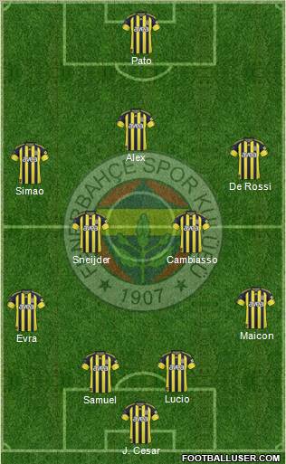 Fenerbahçe SK Formation 2011