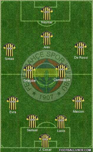 Fenerbahçe SK Formation 2011