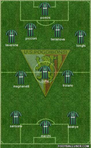 Poggibonsi Formation 2011