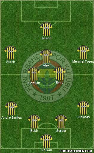 Fenerbahçe SK Formation 2011