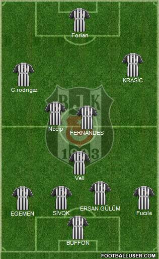 Besiktas JK Formation 2011