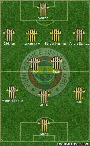 Fenerbahçe SK Formation 2011