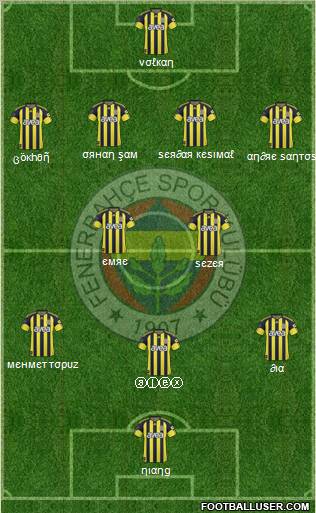Fenerbahçe SK Formation 2011