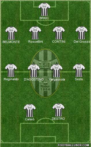 Siena Formation 2011