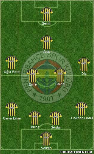 Fenerbahçe SK Formation 2011