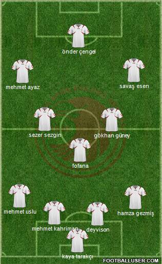 Kartalspor Formation 2011