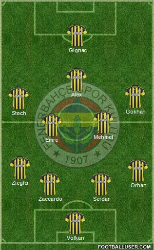 Fenerbahçe SK Formation 2011