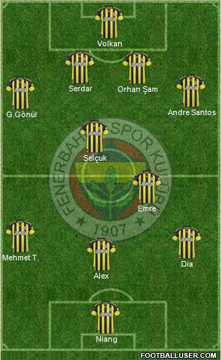 Fenerbahçe SK Formation 2011