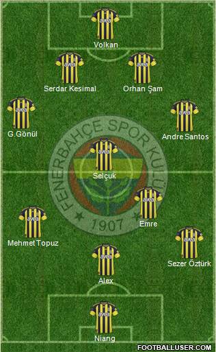 Fenerbahçe SK Formation 2011
