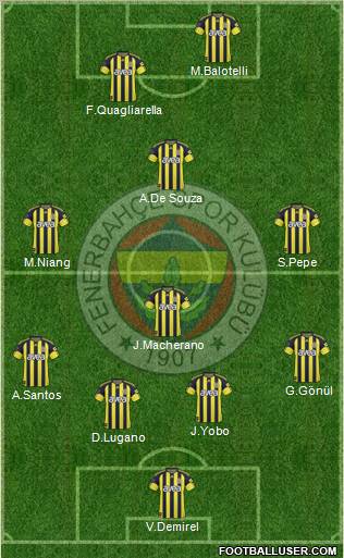 Fenerbahçe SK Formation 2011