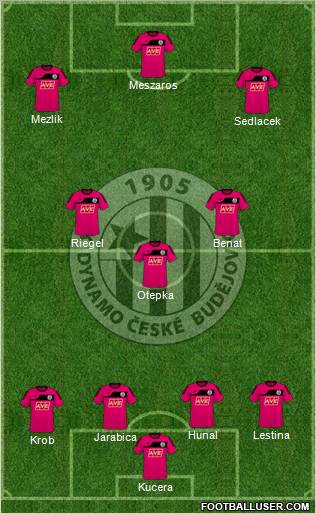 Ceske Budejovice Formation 2011