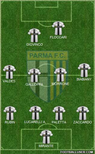 Parma Formation 2011