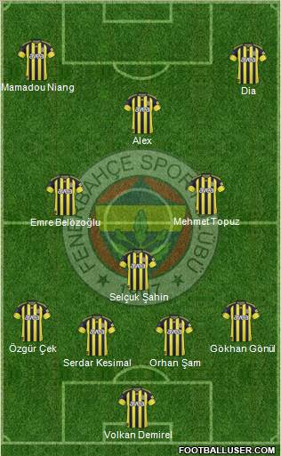 Fenerbahçe SK Formation 2011
