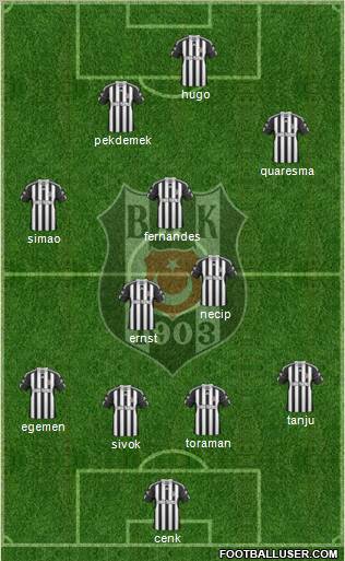 Besiktas JK Formation 2011