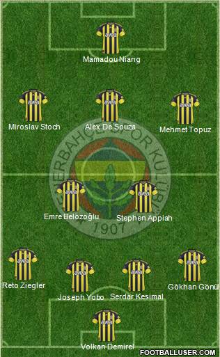 Fenerbahçe SK Formation 2011