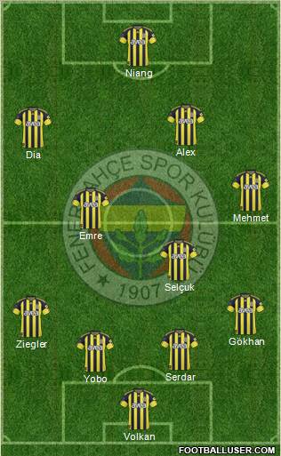 Fenerbahçe SK Formation 2011