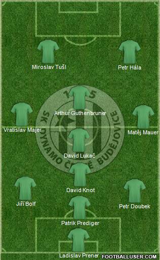 Ceske Budejovice Formation 2011